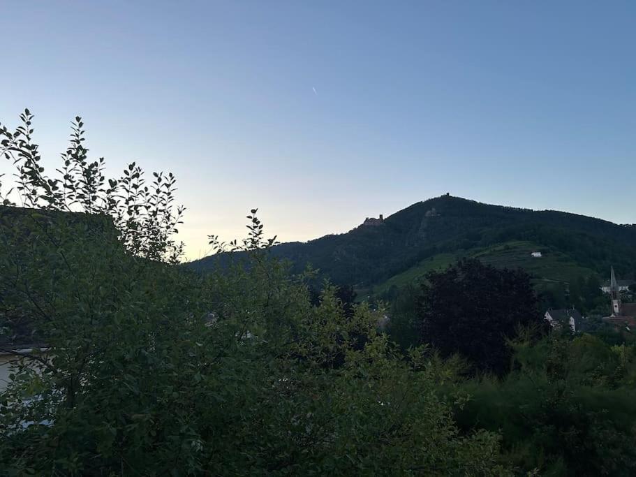 Vue Magnifique Sur Les Chateaux Ribeauvillé Kültér fotó