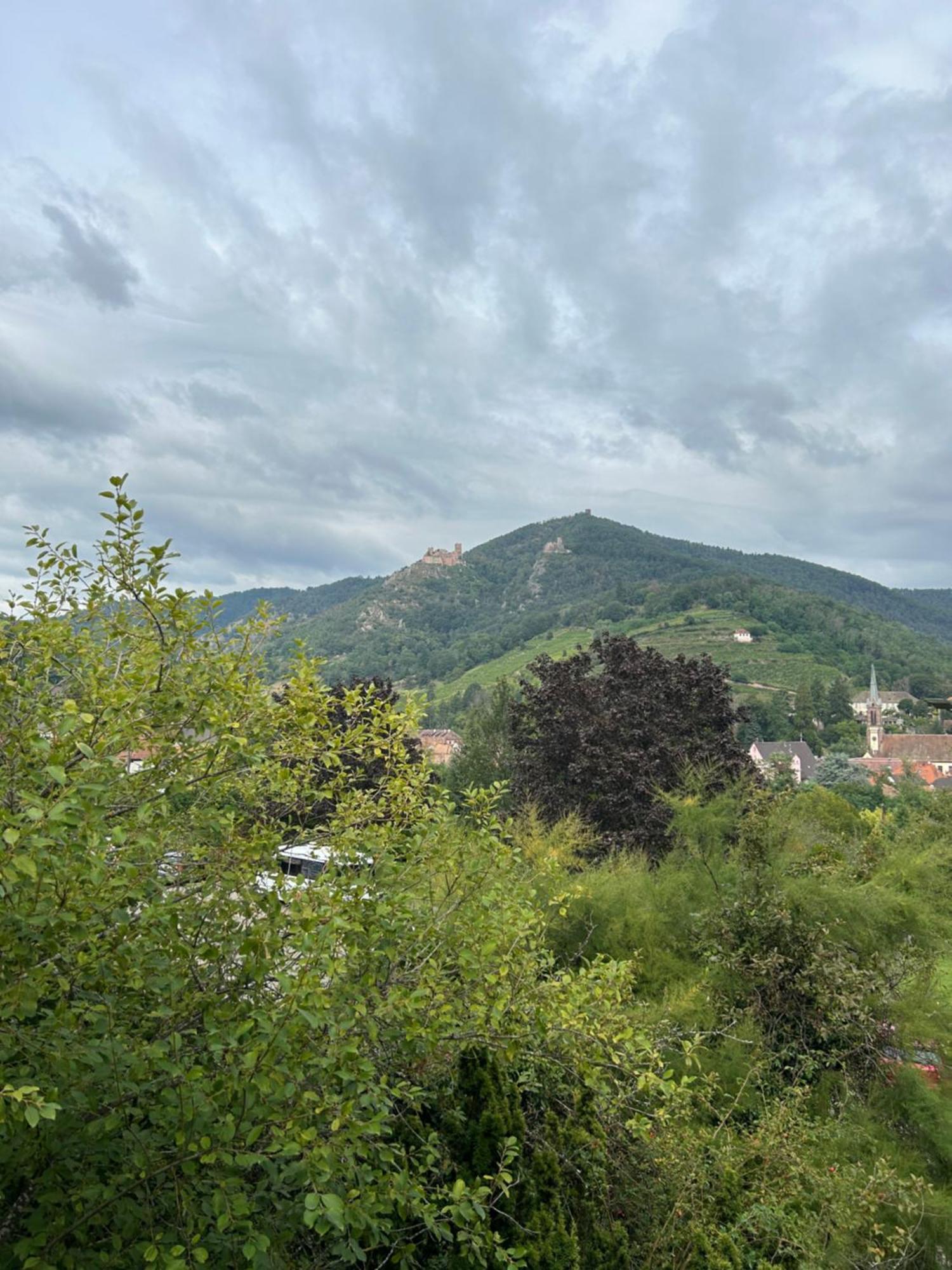 Vue Magnifique Sur Les Chateaux Ribeauvillé Kültér fotó